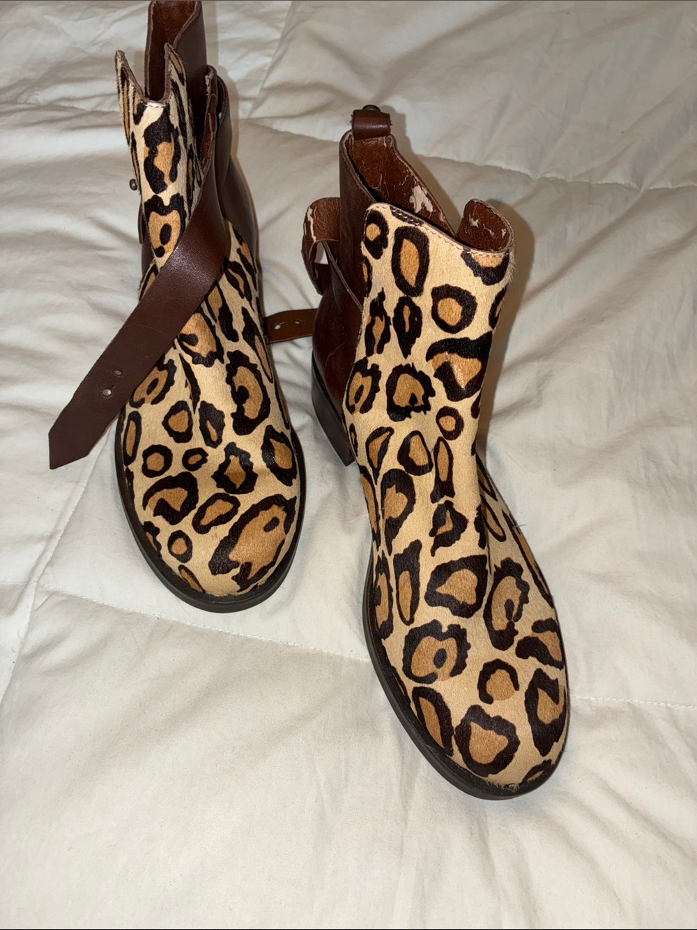 Sam Edelman Leopard Print Ankle Boots in Brown and Black